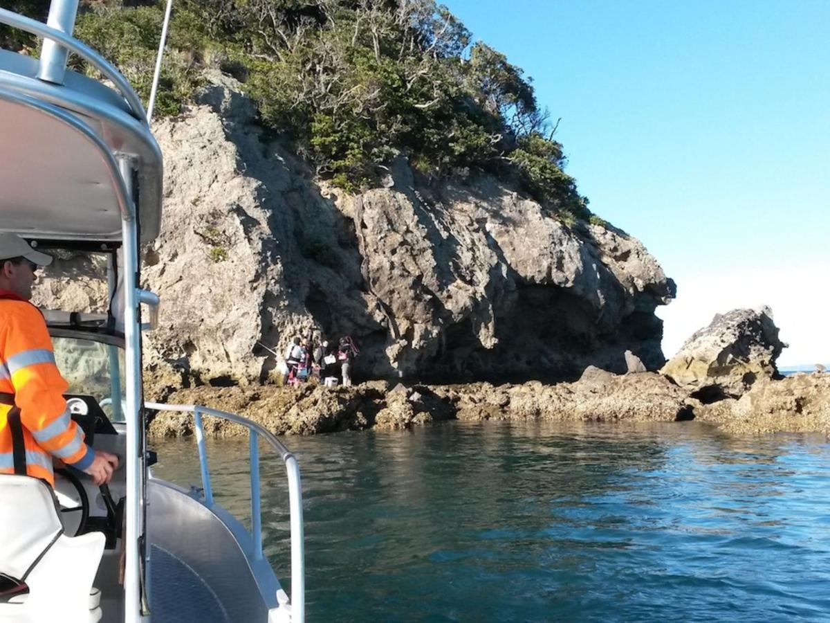 Anglers Lodge Coromandel المظهر الخارجي الصورة