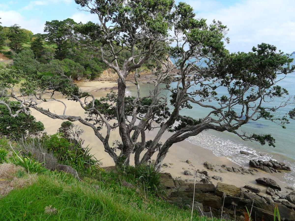 Anglers Lodge Coromandel المظهر الخارجي الصورة